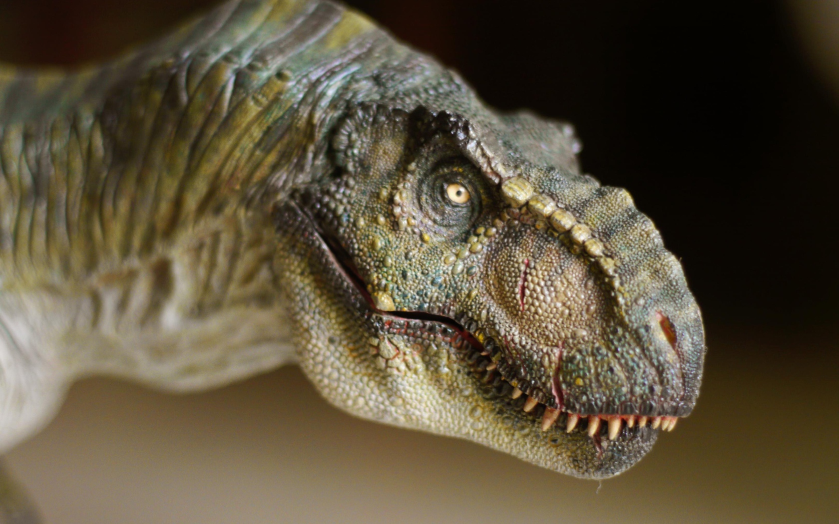 T rex dinosaur face close up