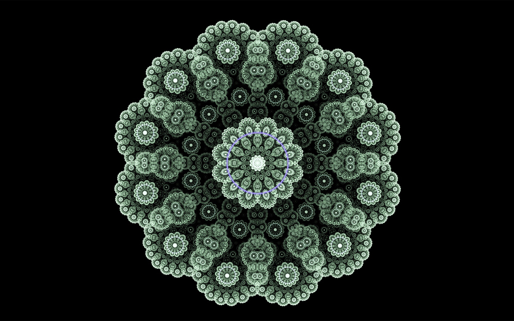 Кружевной зеленый фрактальный цветок на черном фоне