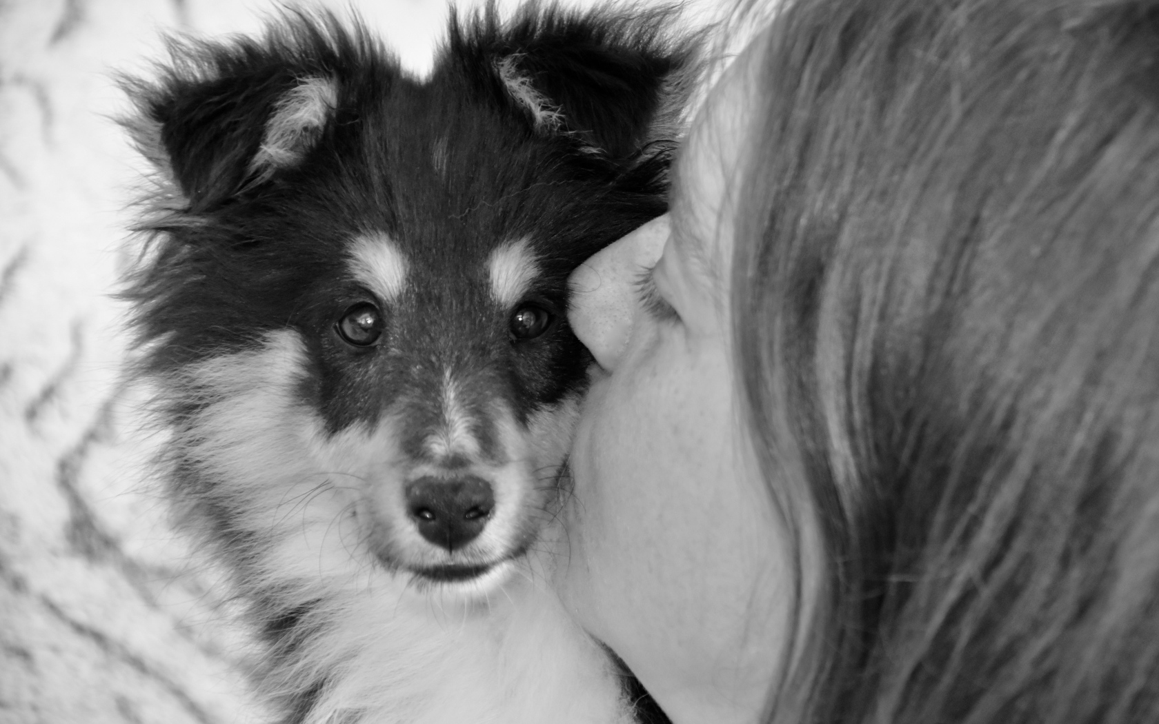 Девушка целует милого щенка 