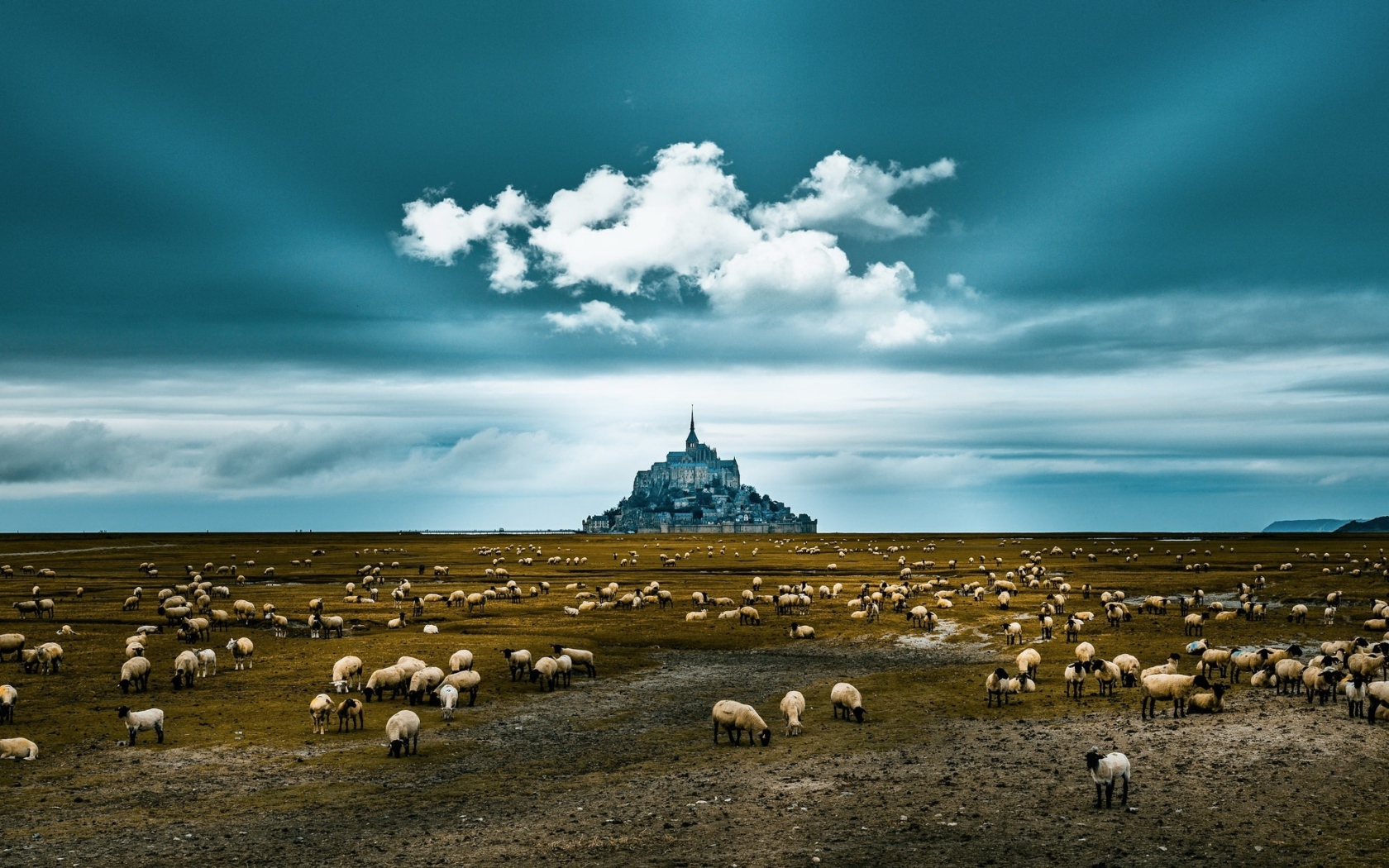 Стадо овец пасется у старого монастыря