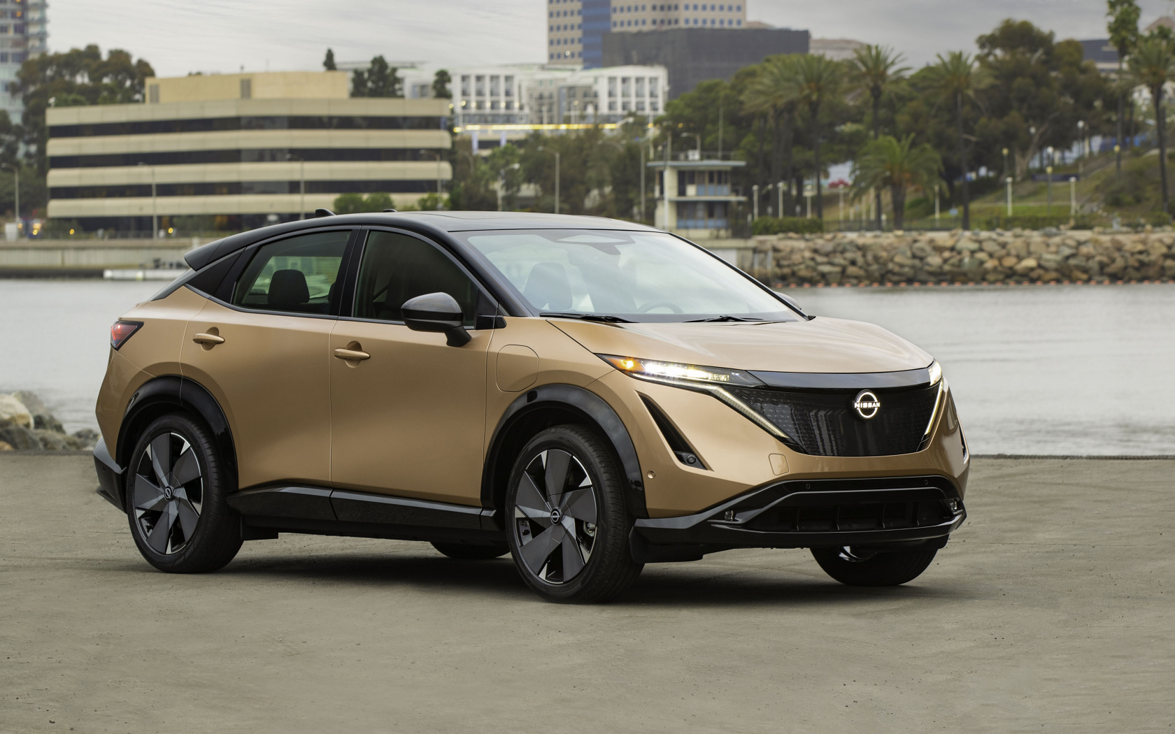 Коричневый автомобиль Nissan Ariya SL E-4orce, 2021 года у воды