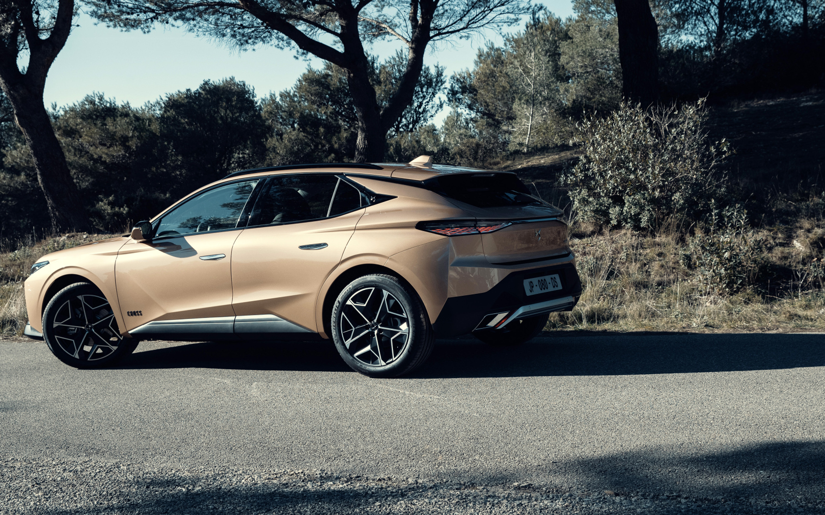 Автомобиль DS 4 Cross 2021  года вид сзади