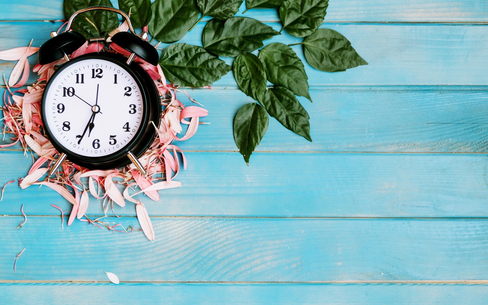 Черный будильник с лепестками цветов и зелеными листьями