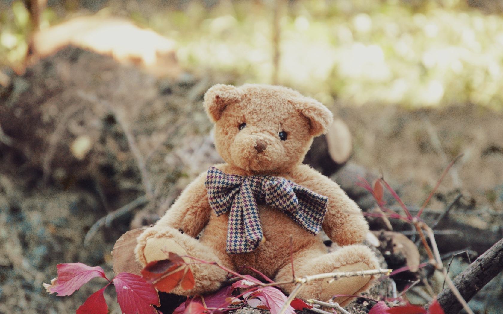 Маленький плюшевый мишка сидит на земле 