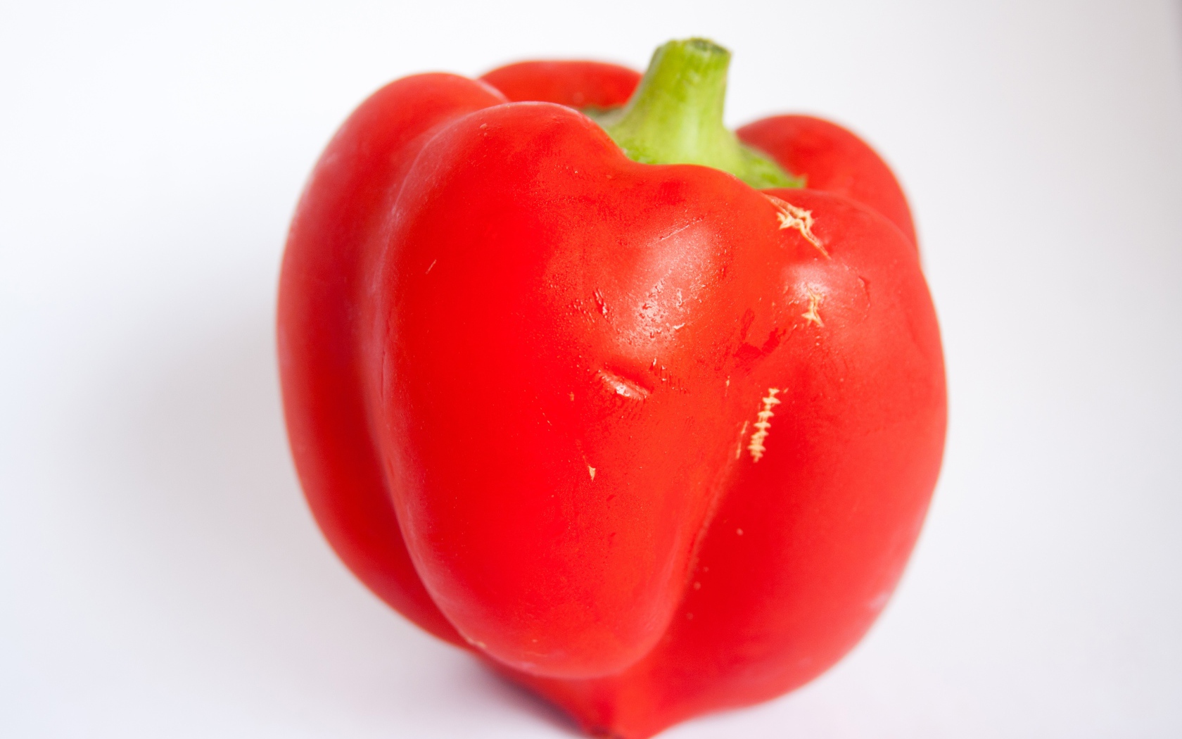 Большой красный болгарский перец на сером фоне