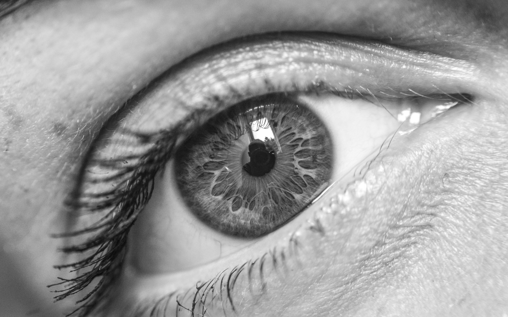 Красивый глаз девушки черно-белое фото