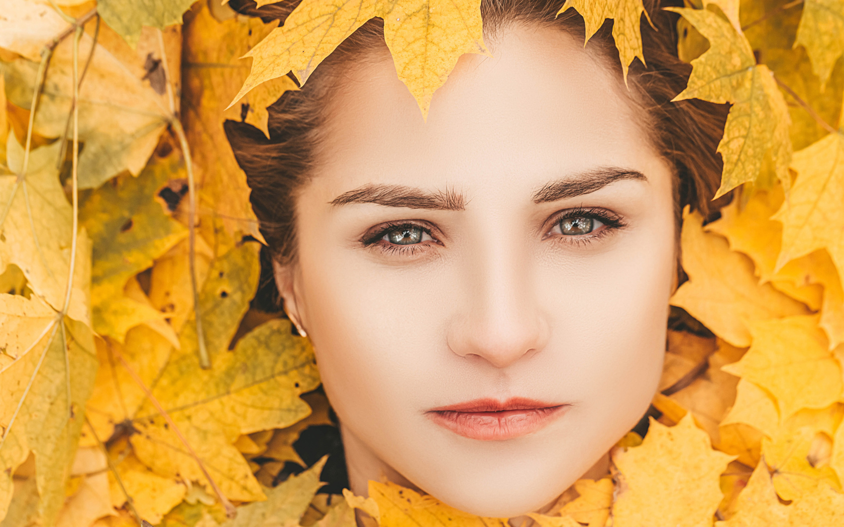 Лицо красивой молодой девушки в желтой листве