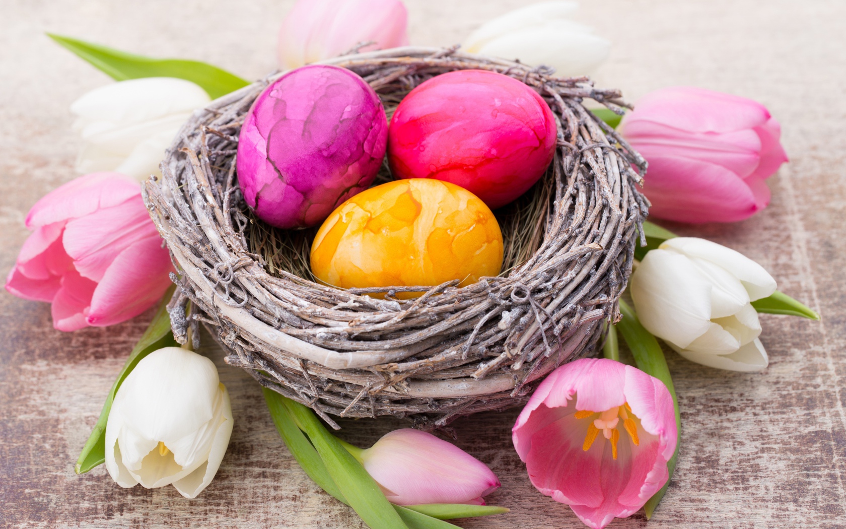 Три разноцветных яйца в гнезде с тюльпанами на праздник Пасха