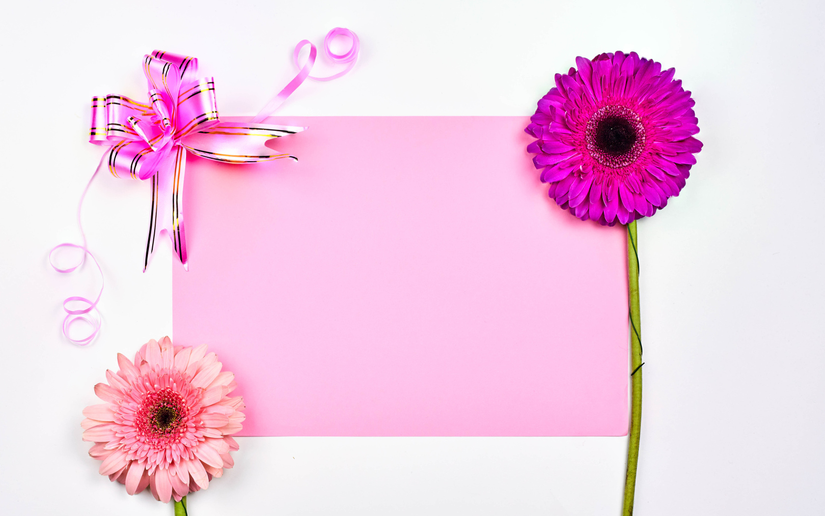 Фон для поздравительной открытки на 8 марта с герберами