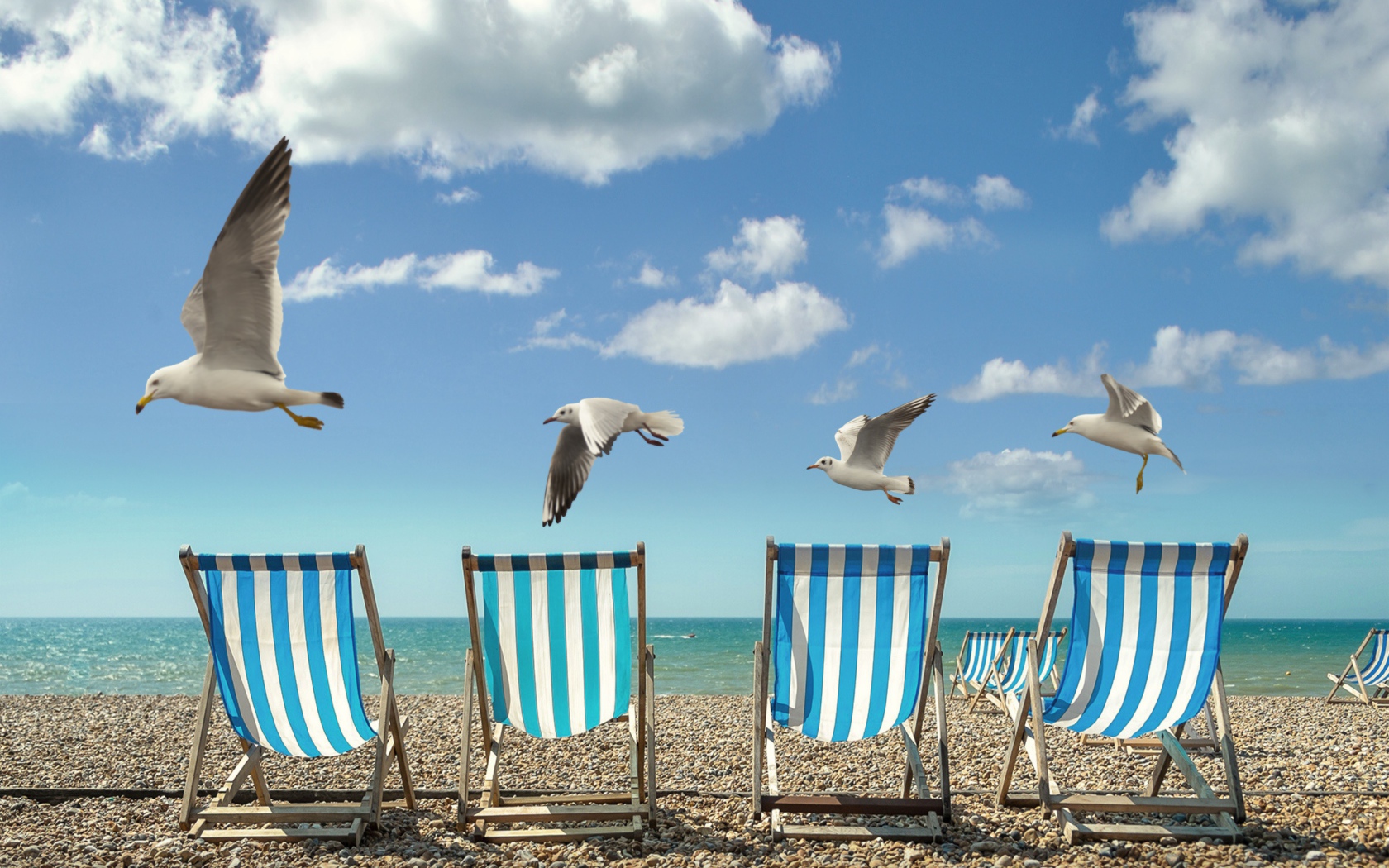 Шезлонги стоят на желтом песке у моря