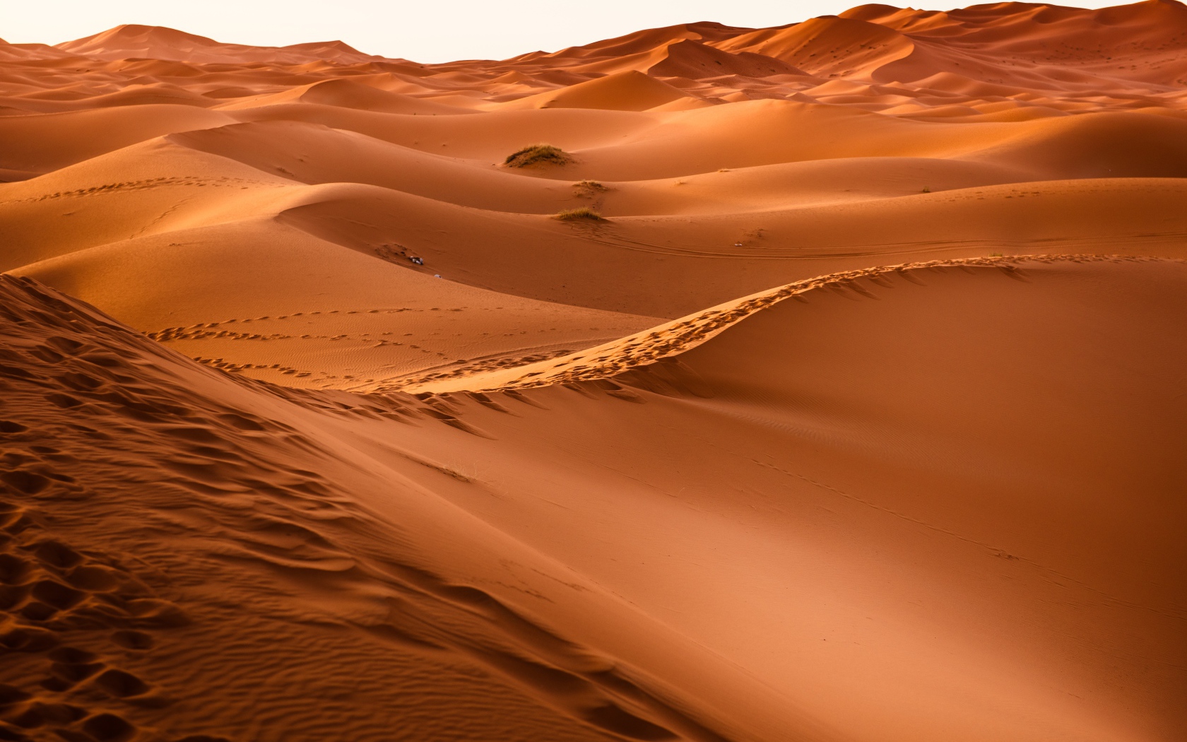 Песчаные дюны в пустыне Сахара 