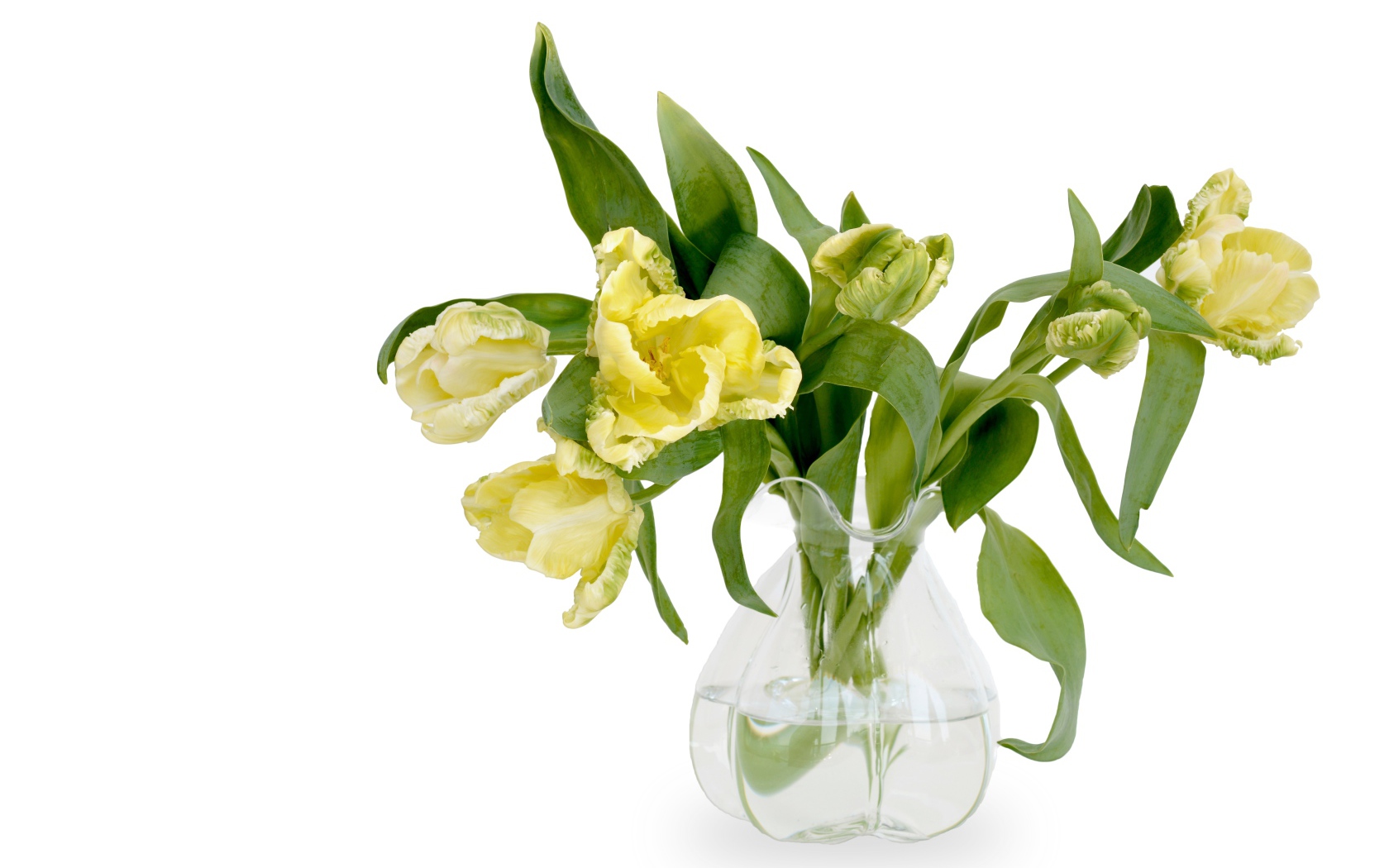 Букет необычных желтых тюльпанов в стеклянной вазе