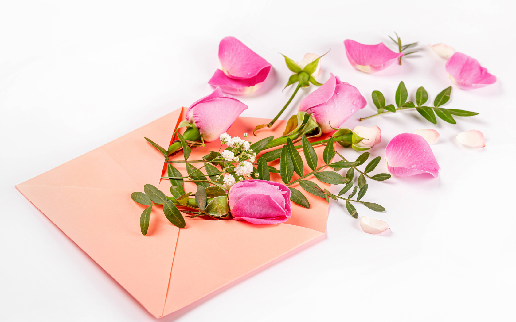 Розовые розы с зелеными листьями в конверте на белом фоне