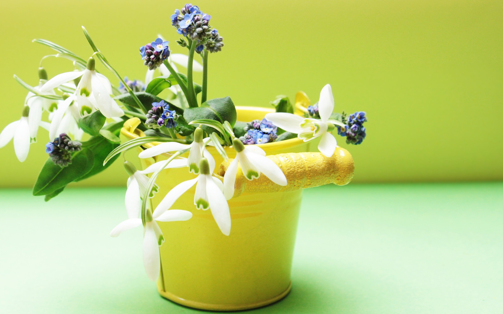 Маленькое желтое ведерко с весенними цветами