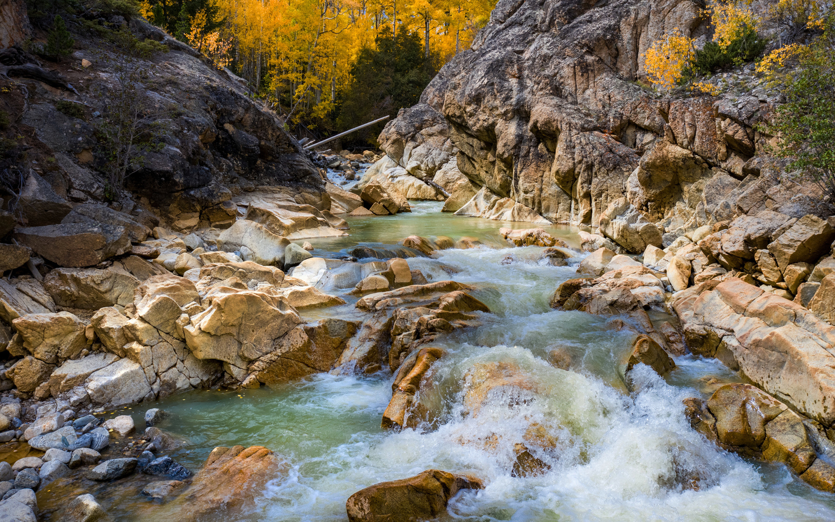 Быстрая холодная горная река бежит по камням
