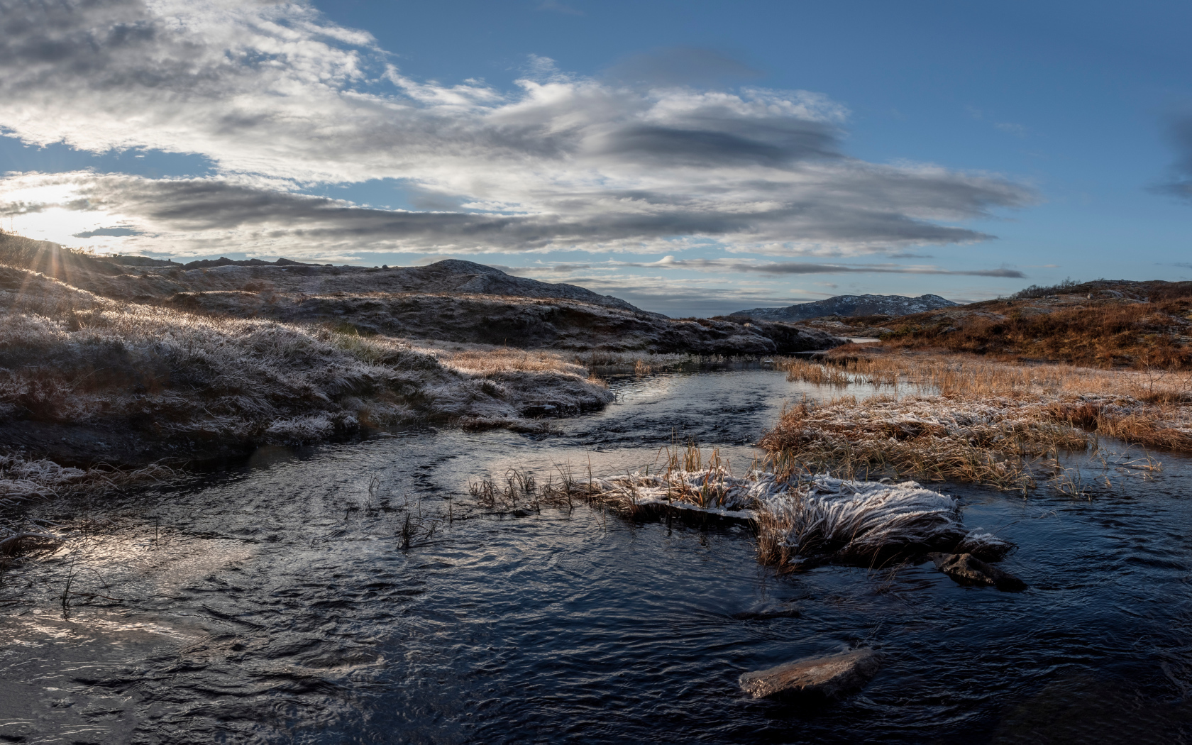 Покрытая инеем трава на берегу реки в лучах солнца