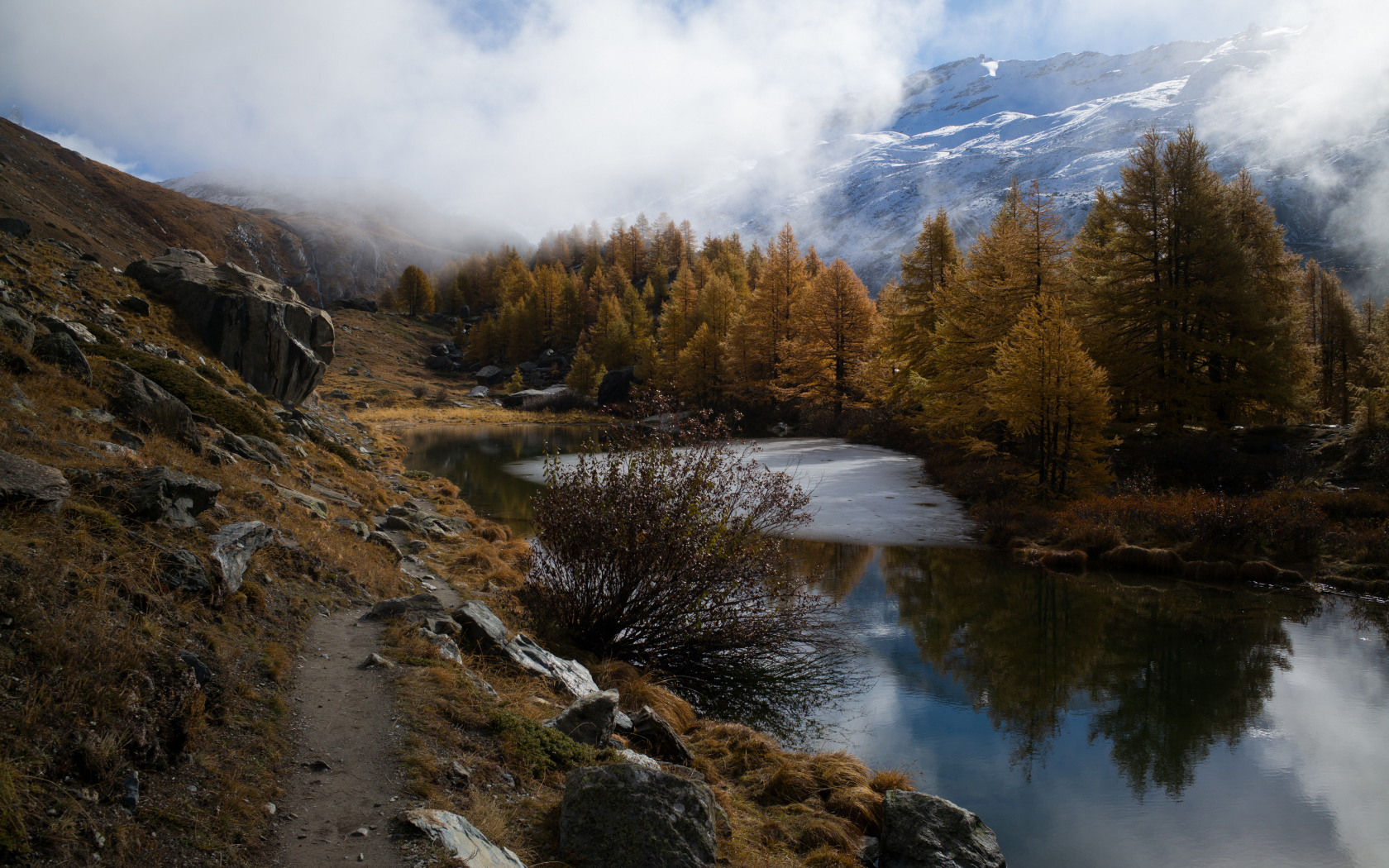 Вид на реку у леса в горах в тумане 