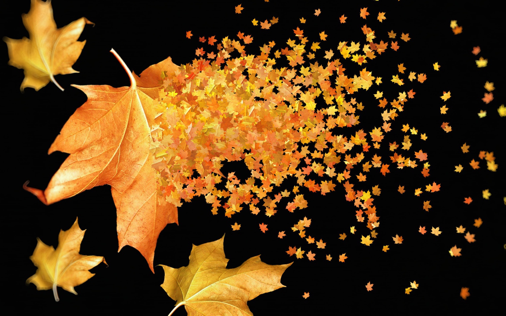 Большие и маленькие желтые листья на черном фоне осенью 