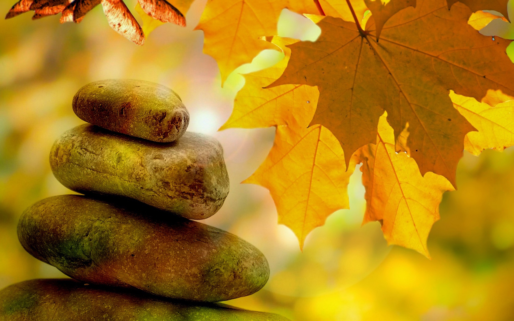 Большие камни с желтыми осенними листьями 