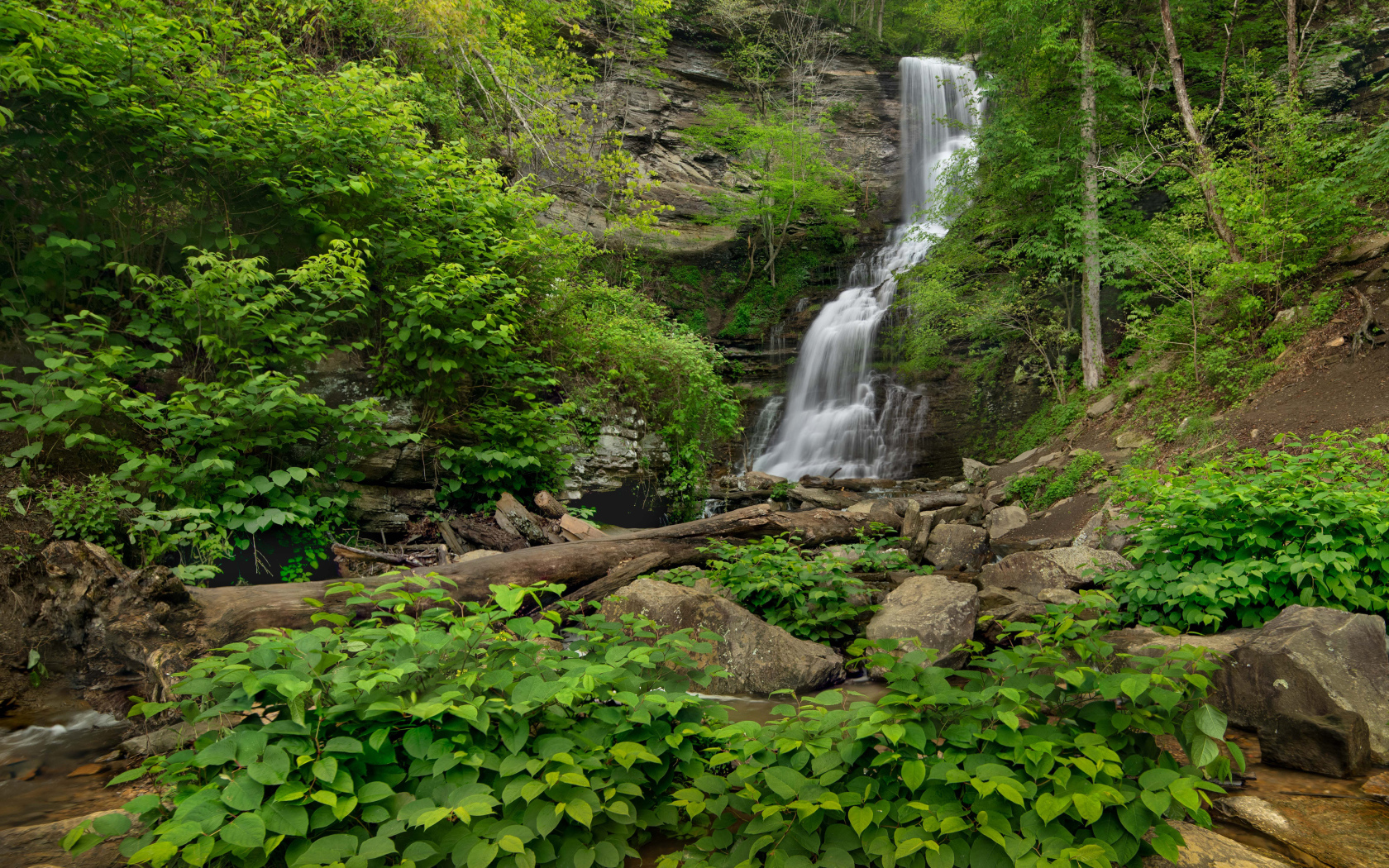 Водопад стекает по камням в национальном парке, США