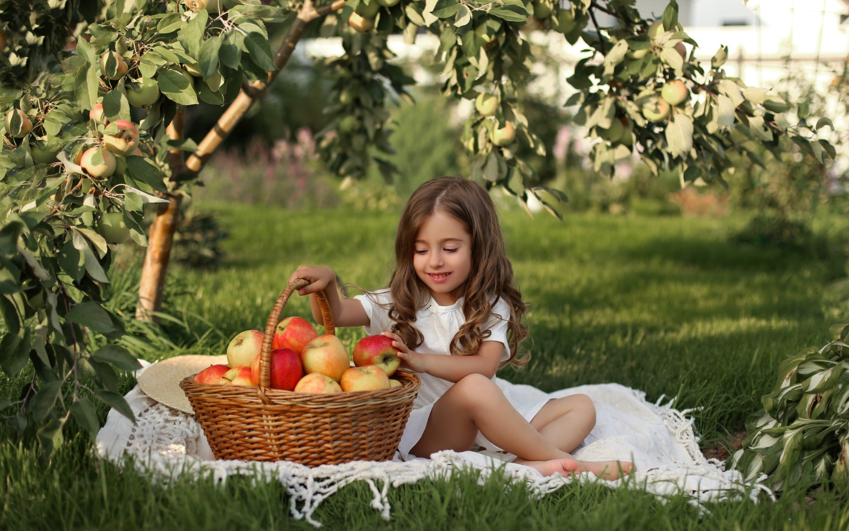 Маленькая девочка с корзиной яблок на траве 