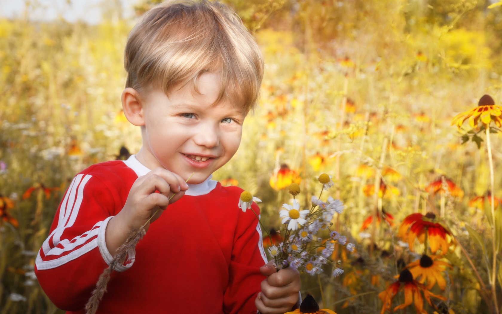 Улыбающийся голубоглазый мальчик с полевыми цветами 