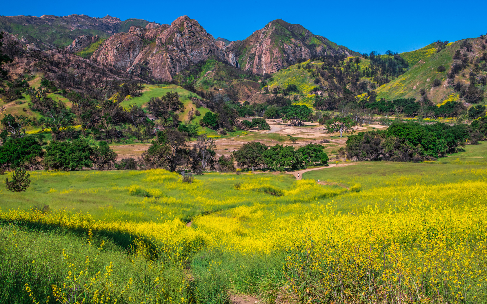Большие горы под голубым небом, США