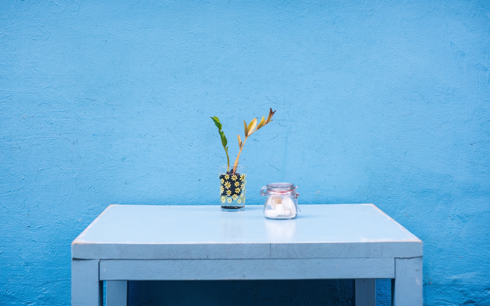 Стол с цветком стоит у голубой стены 