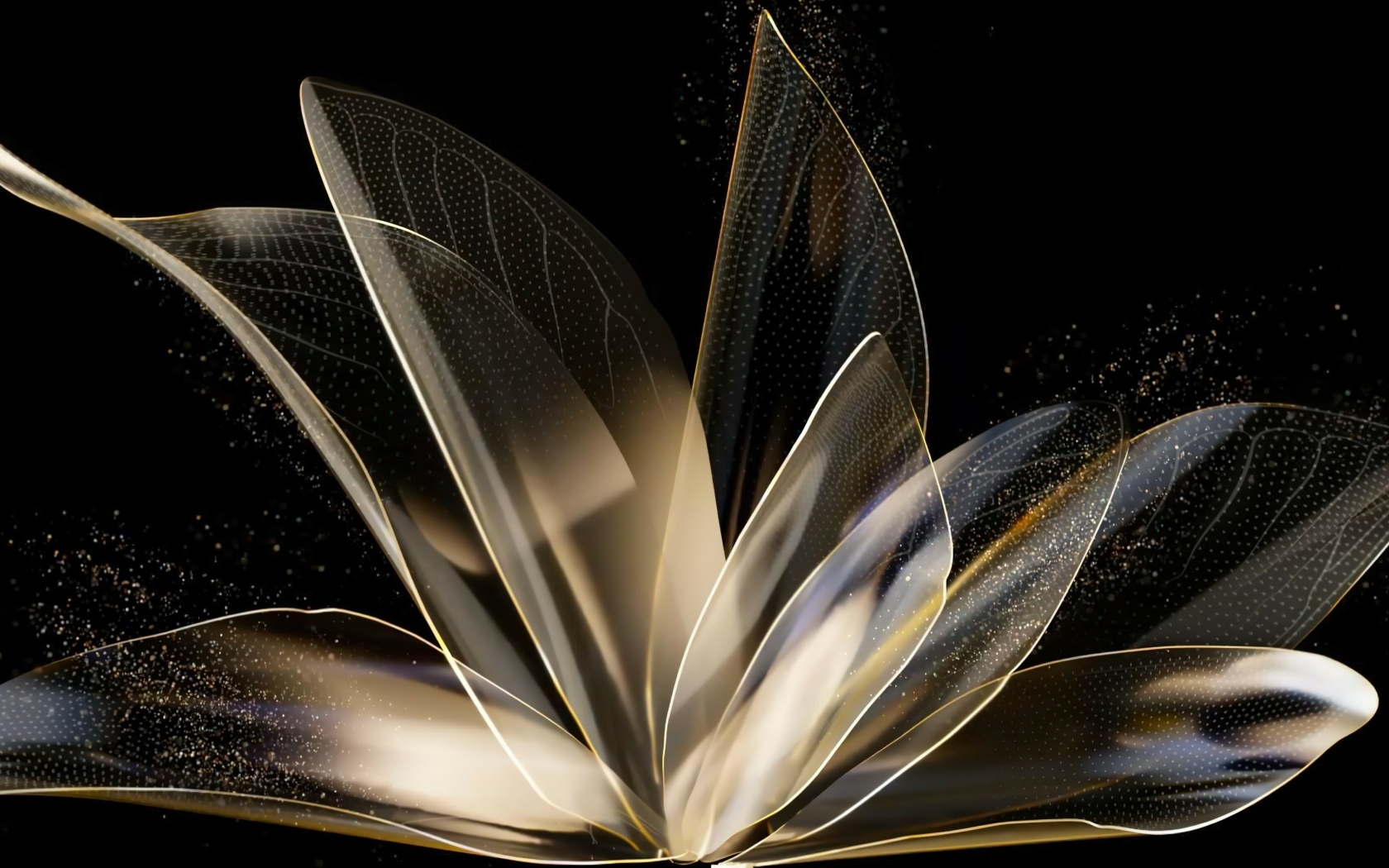 Распустившийся абстрактный цветок на черном фоне