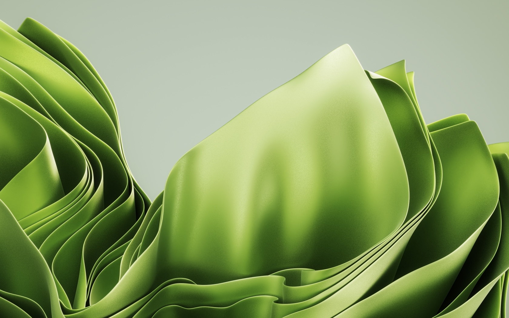 Зеленые абстрактные листья на сером фоне