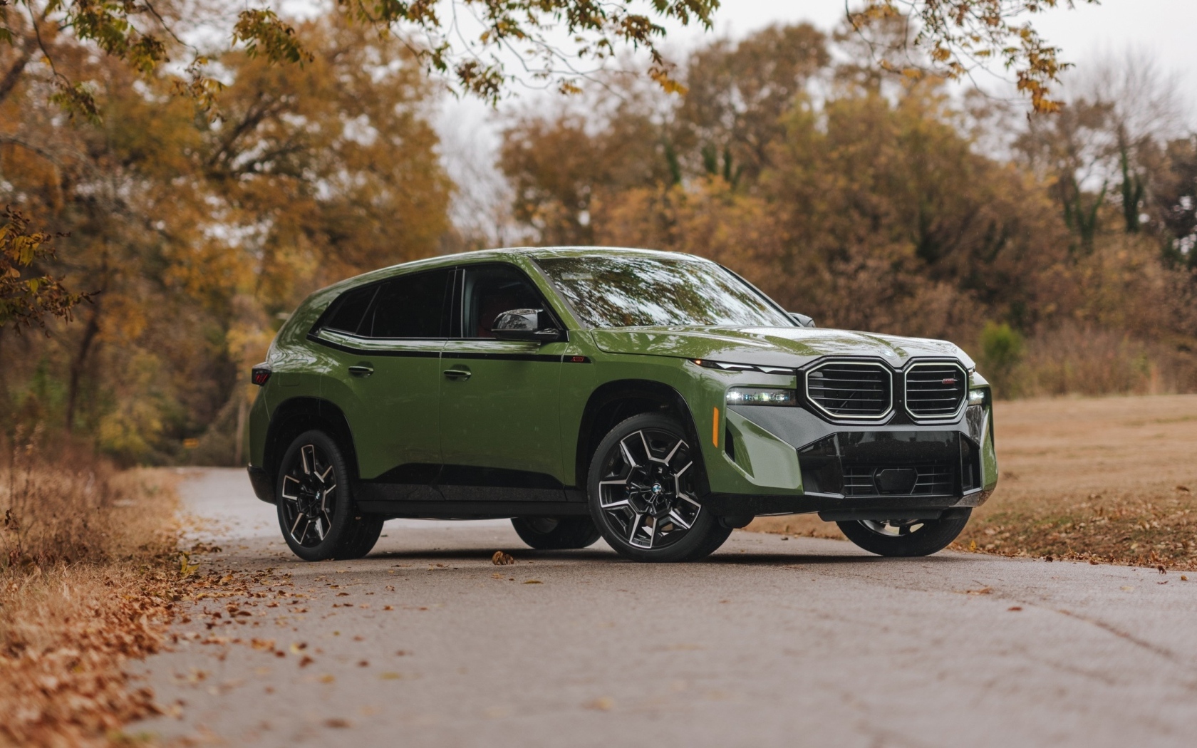 Зеленый внедорожник BMW XM Label 2024 года