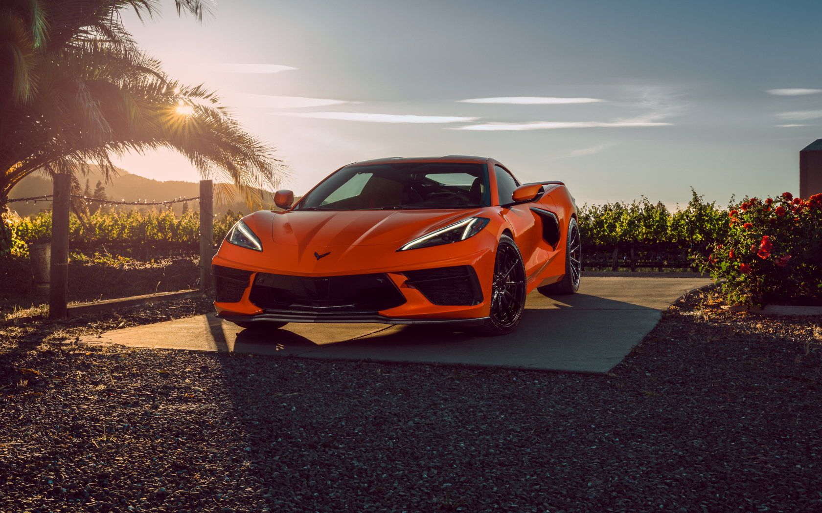 Автомобиль Chevrolet Corvette C8 в лучах солнца