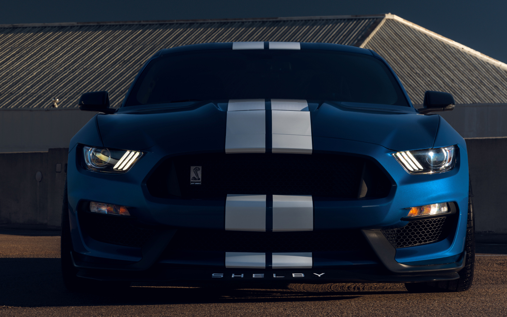 Автомобиль Ford Mustang Shelby GT350  вид спереди