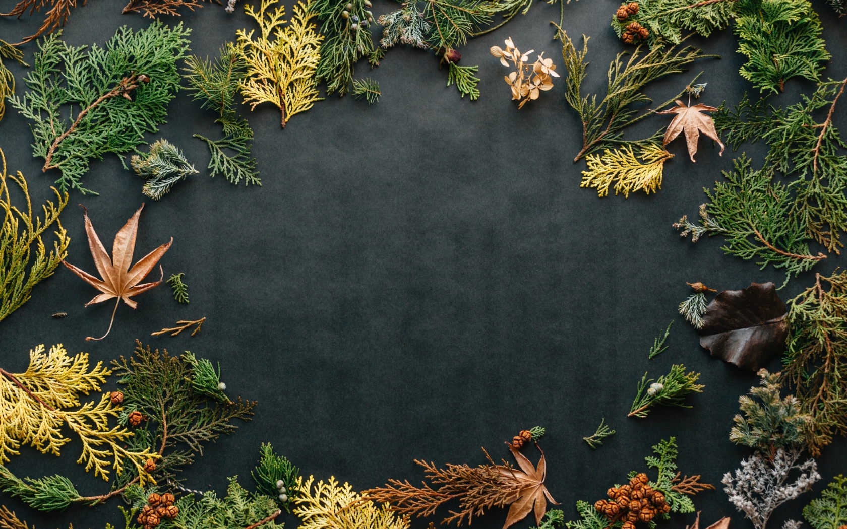 Серый фон с растениями