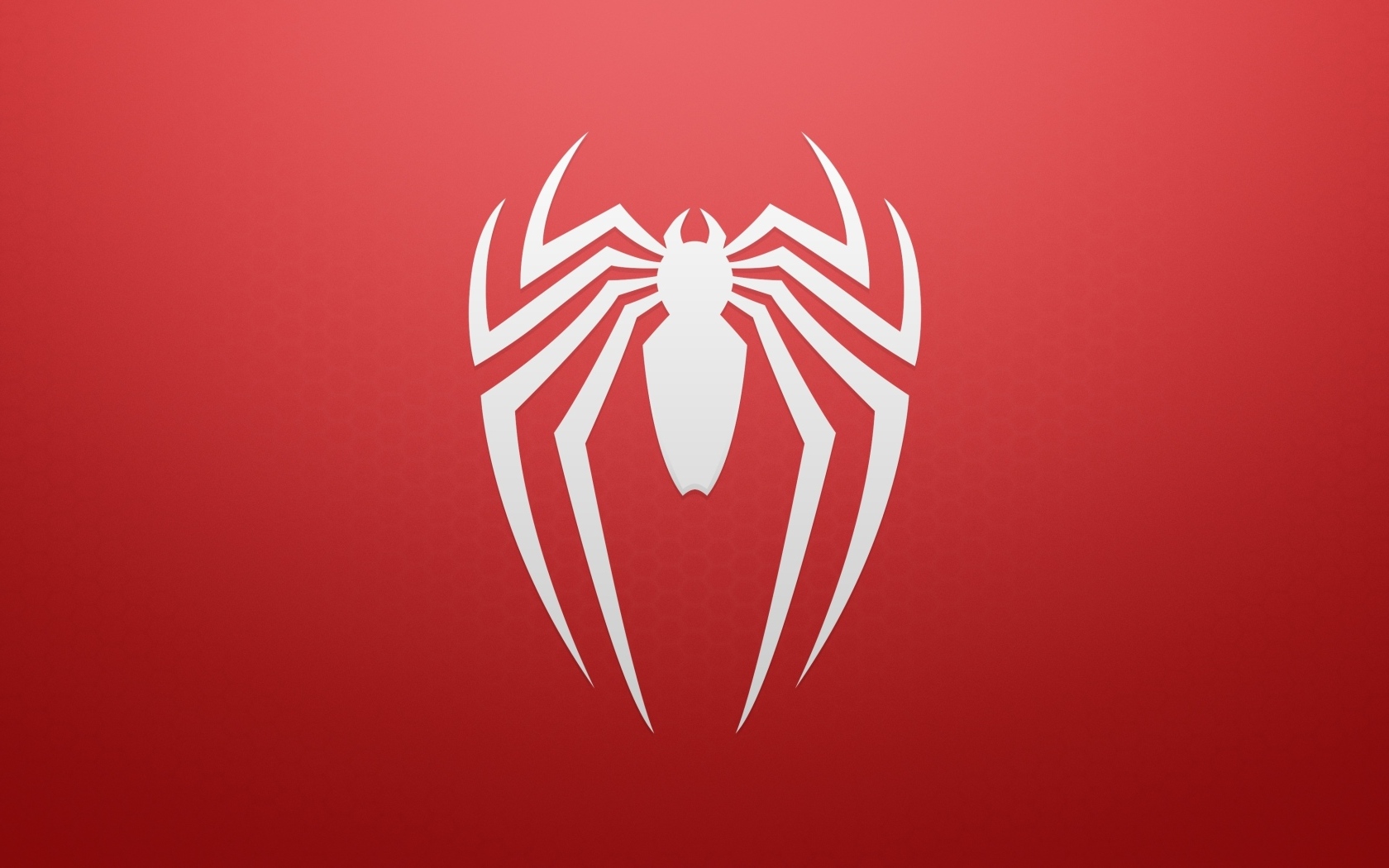 Белый паук на красном фоне