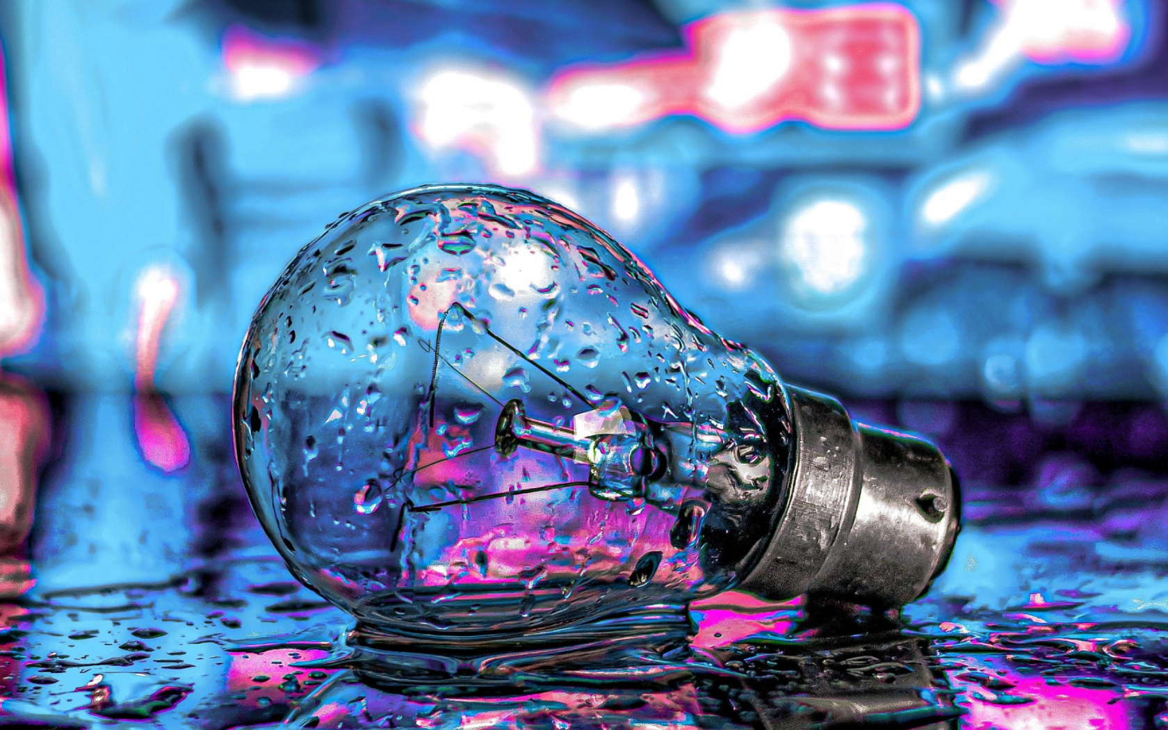 Стеклянная лампочка лежит на мокрой дороге