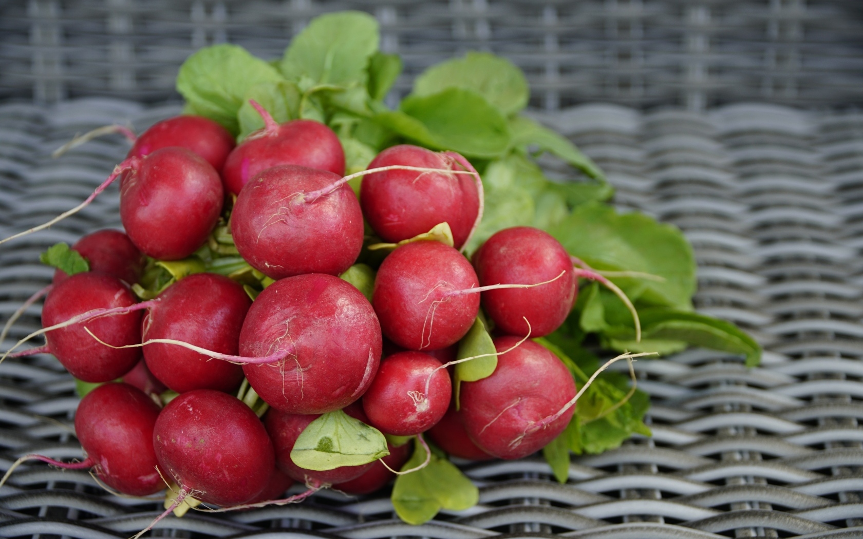 Свежий красный редис на столе