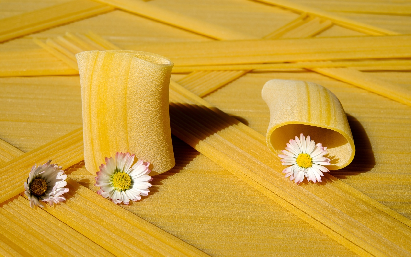 Большие макароны с цветами ромашки 