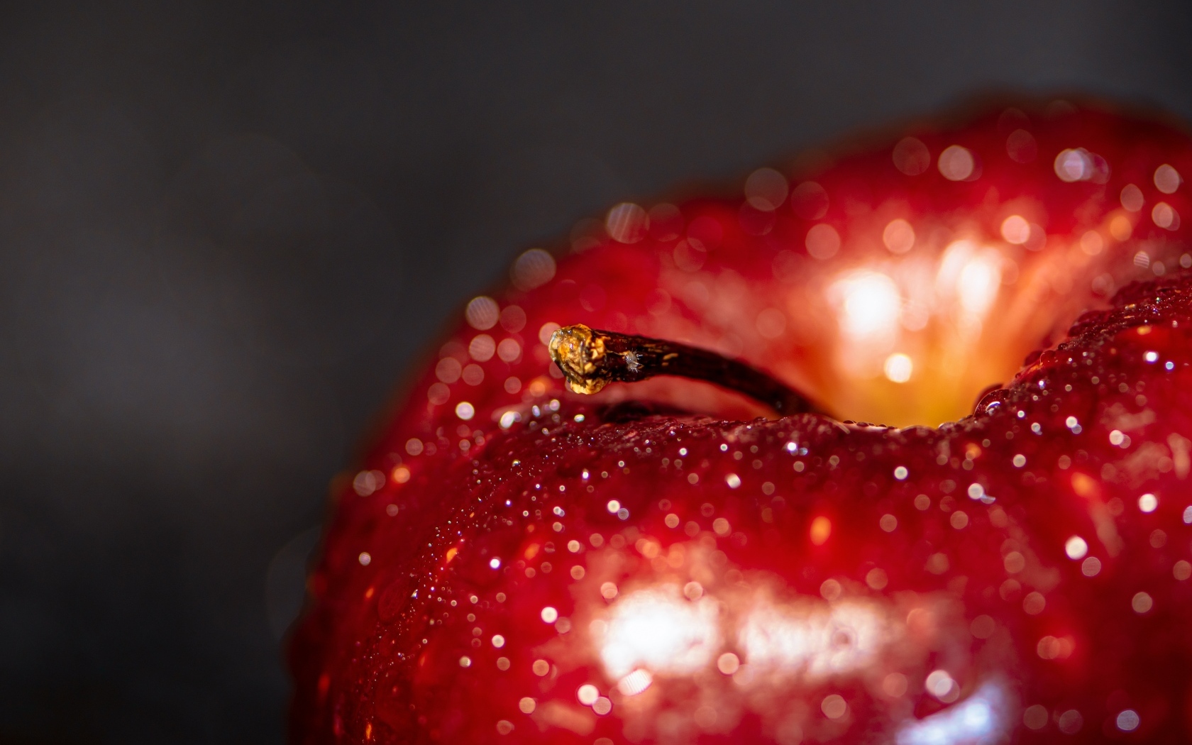 Большое мокрое красное яблоко на сером фоне