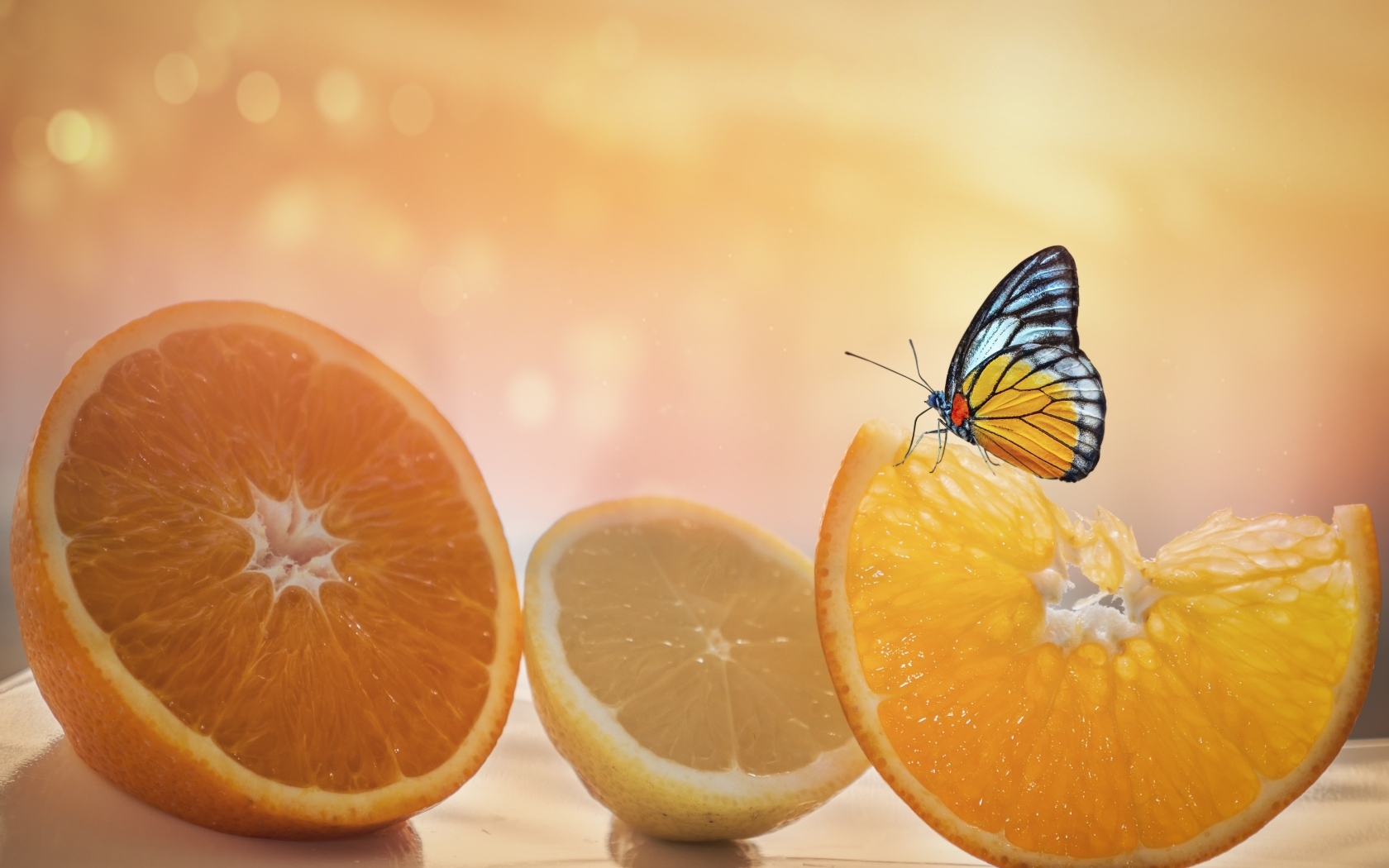 Большие оранжевые апельсины и лимон с бабочкой