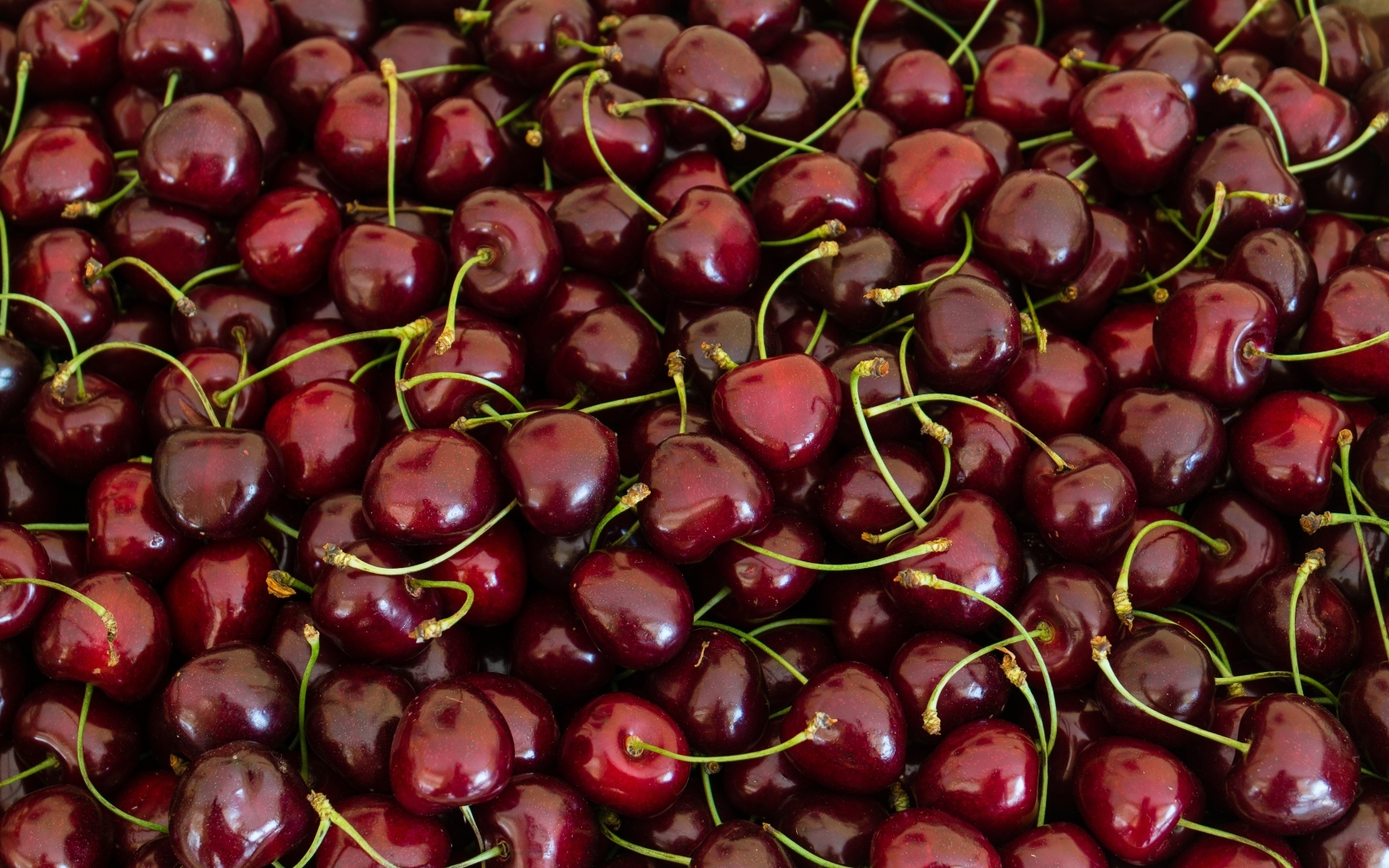 Много вкусной спелой красной черешни 