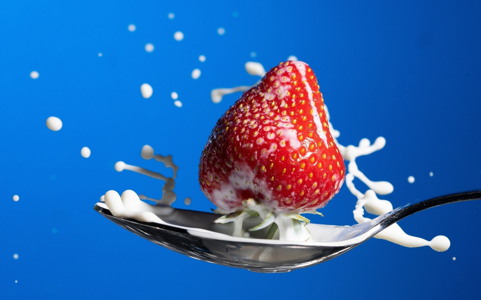 Молоко в ложке с клубникой на синем фоне