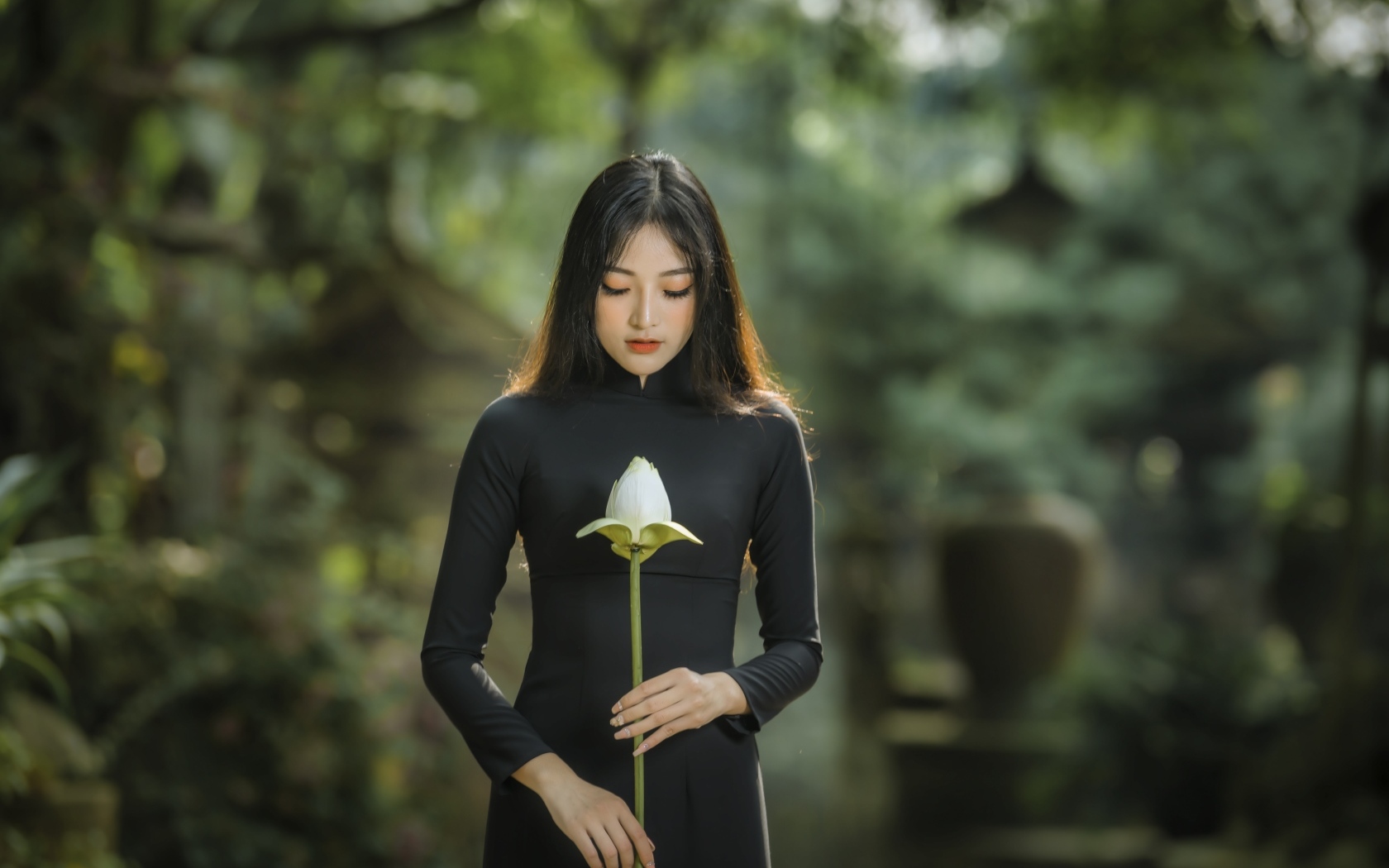 Красивая девушка азиатка в черном платье с цветком лотоса