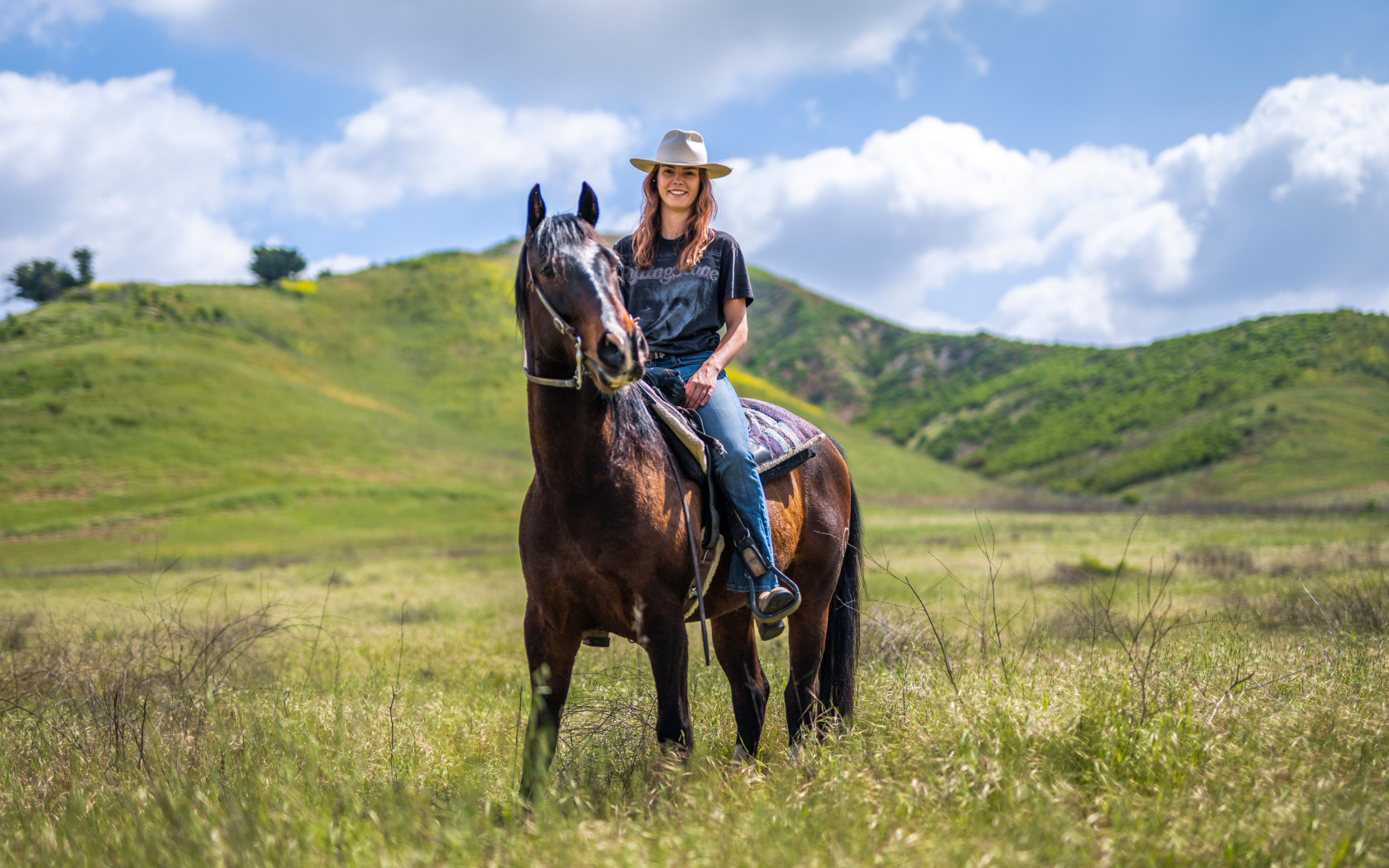 Красивая девушка сидит на большой лошади