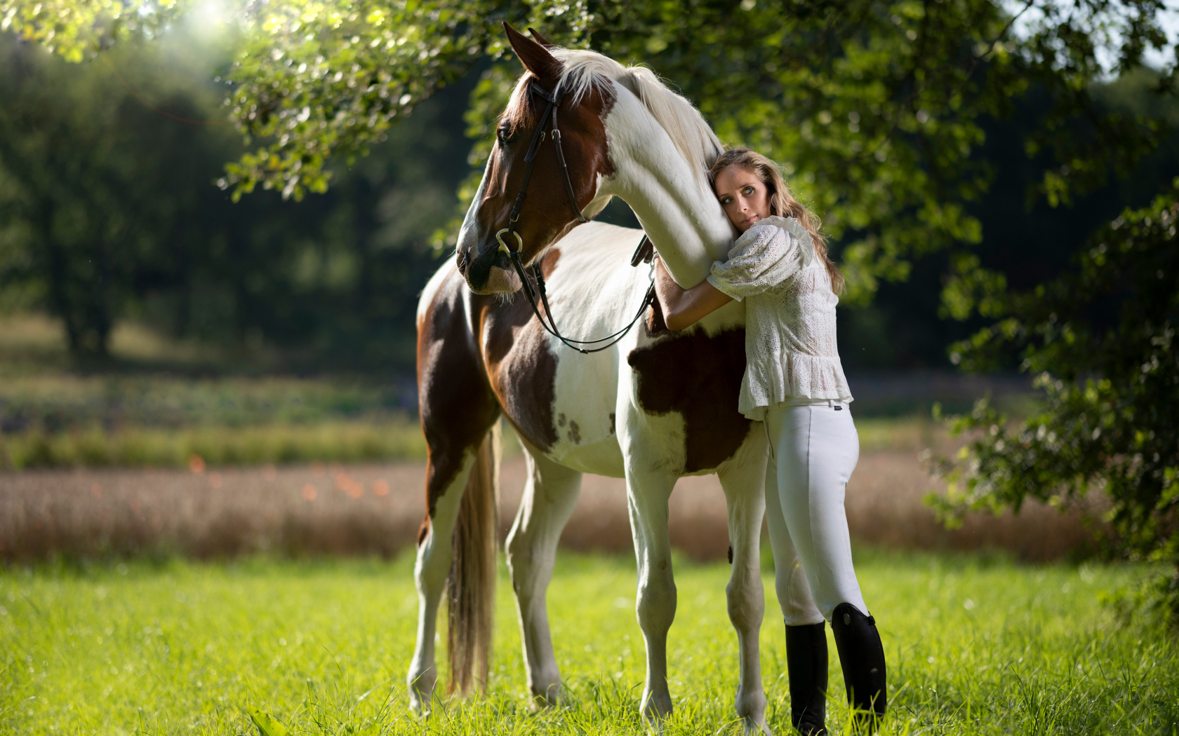 Молодая девушка обнимает большого коня