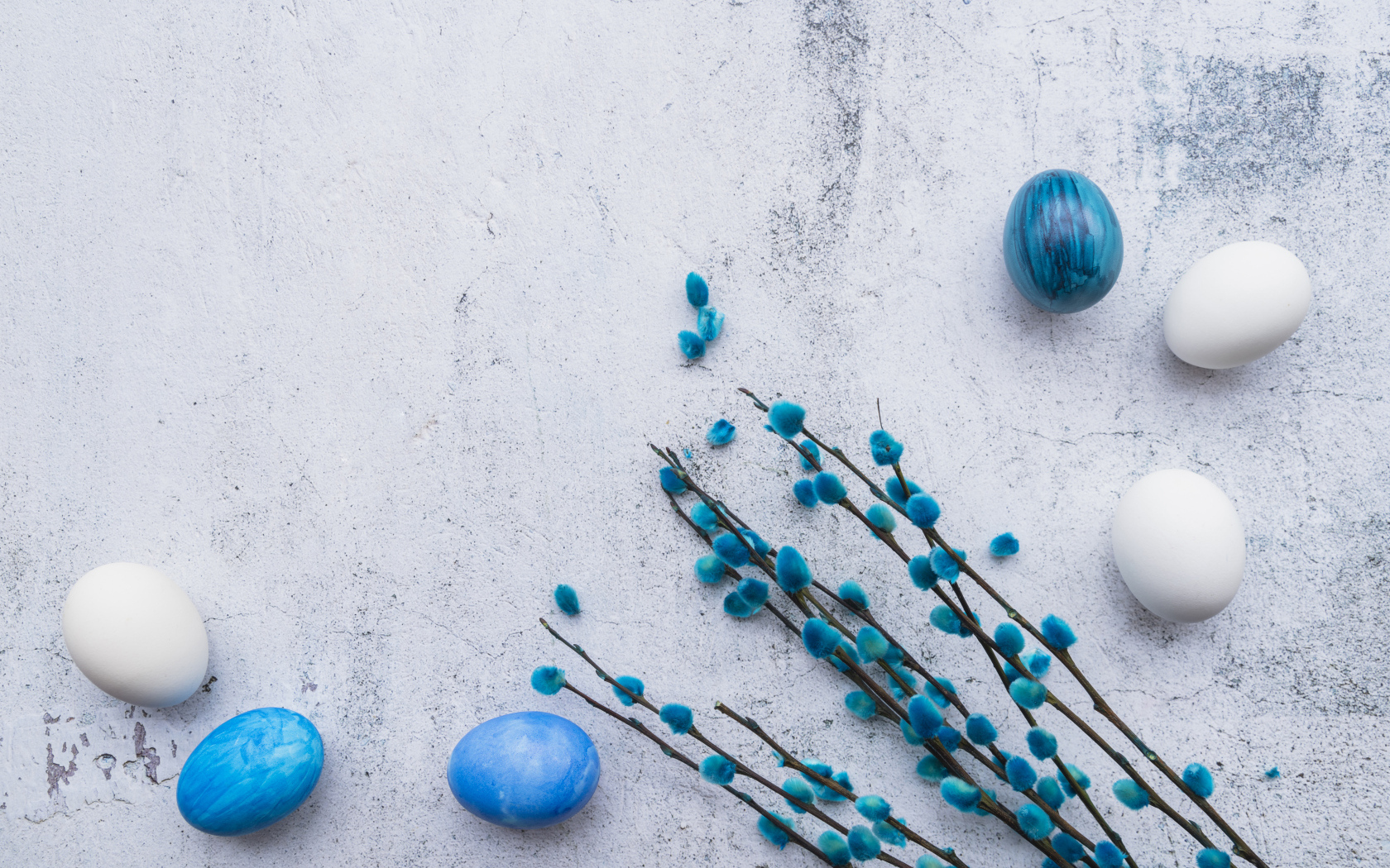 Ветка вербы с голубыми и белыми яйцами на сером фоне на праздник Пасха