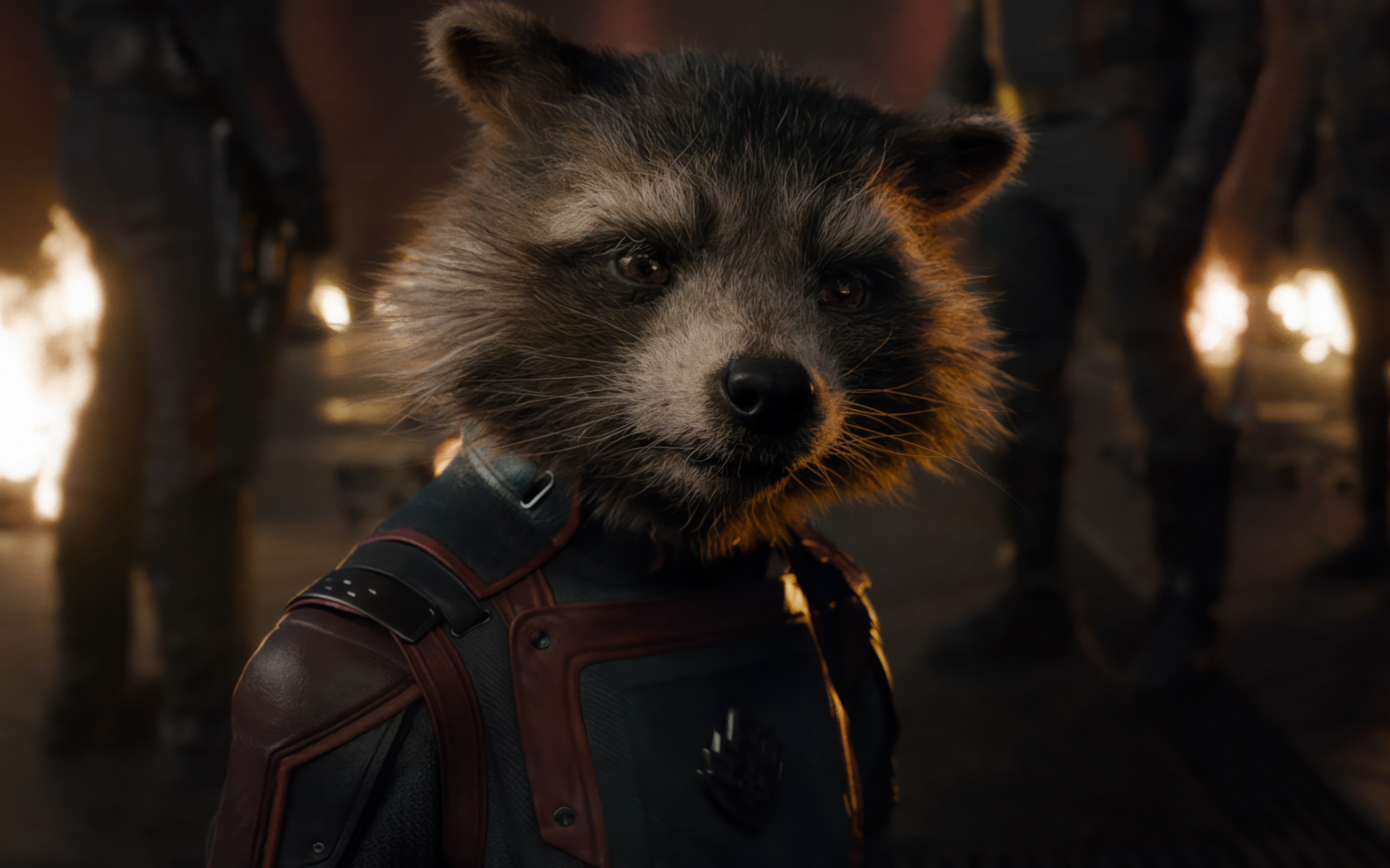 Енот Ракета персонаж фильма Стражи Галактики: Часть 3