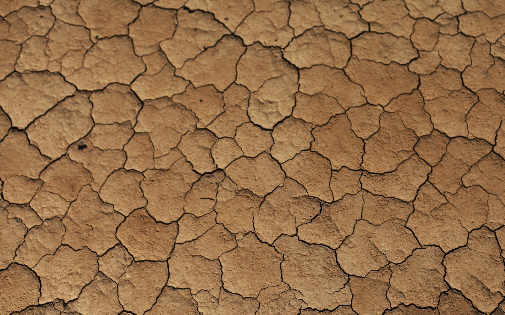 Трещины на сухой земле 