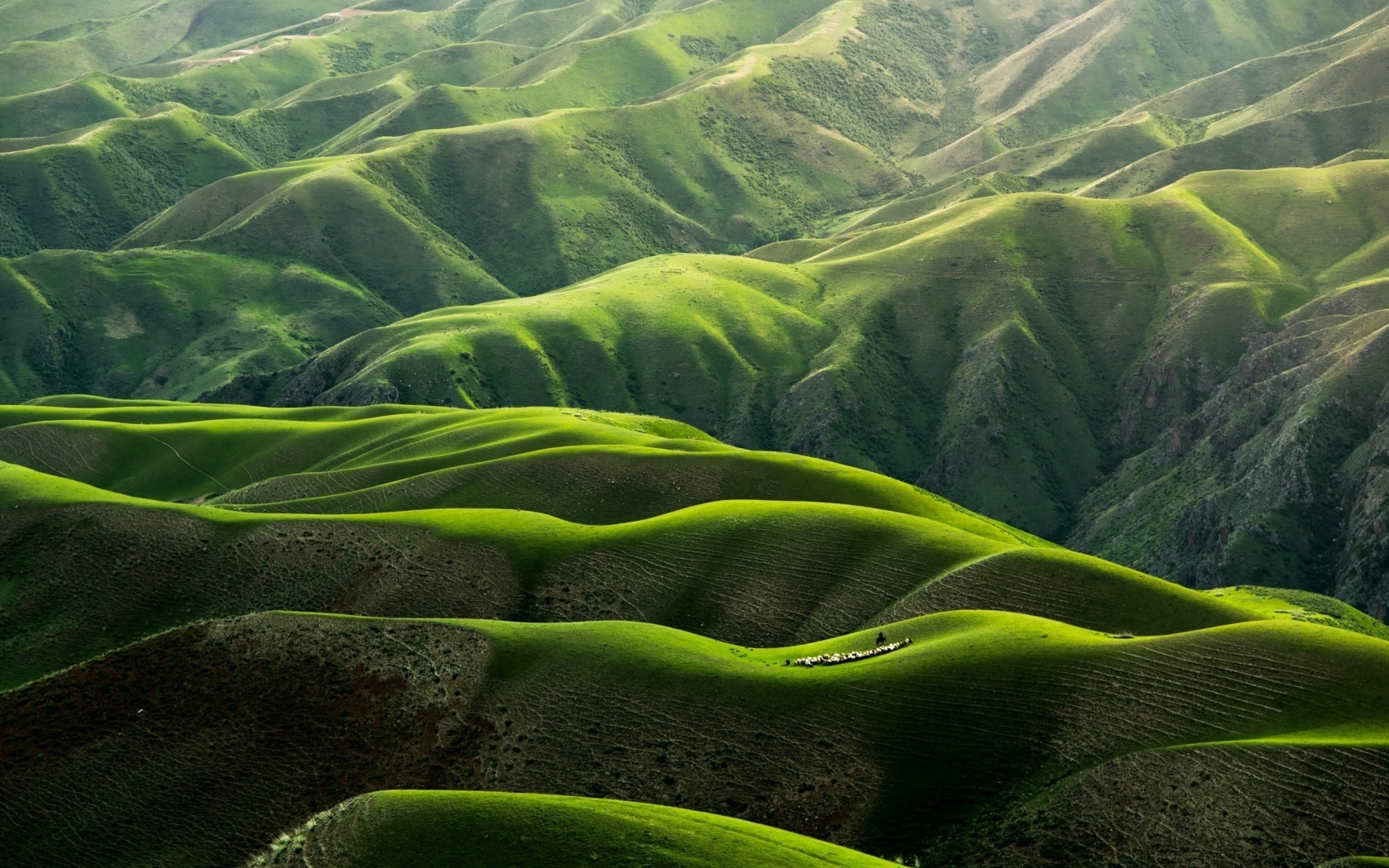 Вид на красивые зеленые холмы