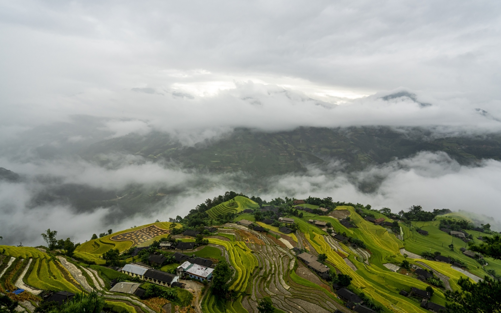 Вид сверху на плантации в тумане